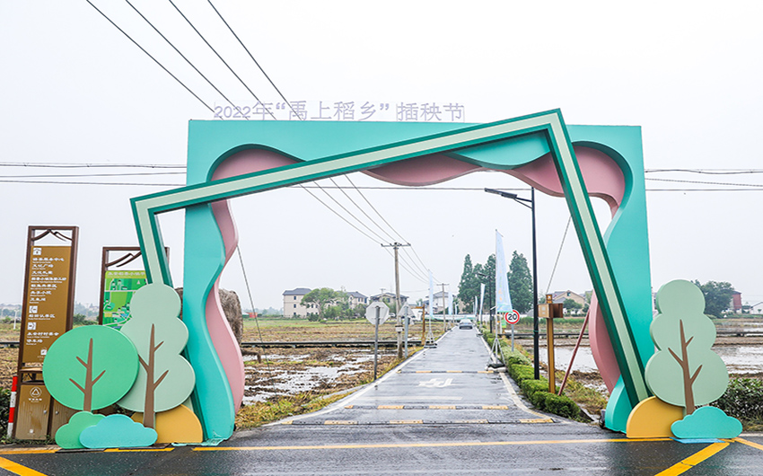 “禹上稻乡”插秧节
