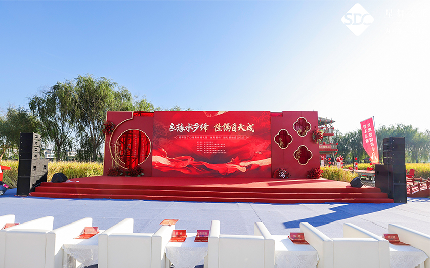 临平区丁山湖集体婚礼暨“鱼鹰爱情”婚礼基地成立仪式